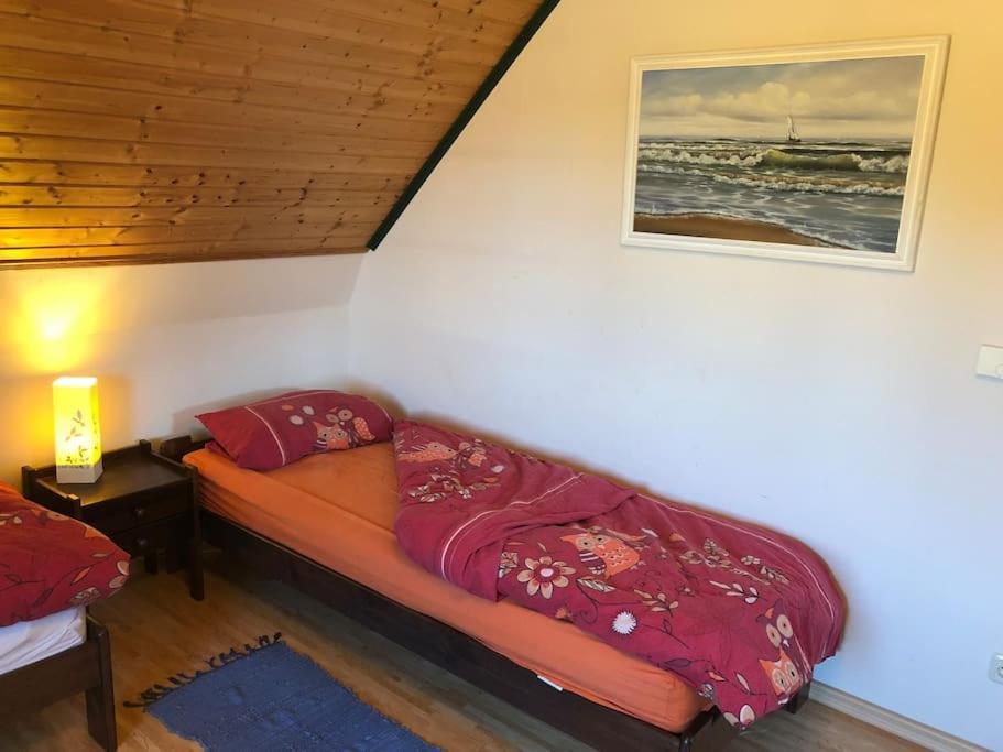 Trollhus - Grosses Familienfreundliches Ferienhaus Born Extérieur photo
