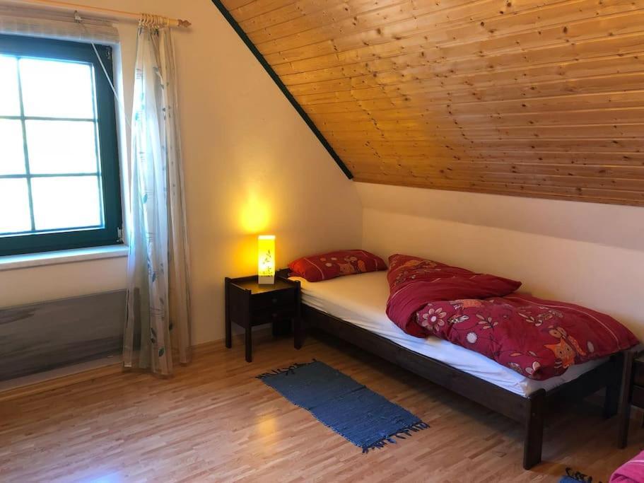 Trollhus - Grosses Familienfreundliches Ferienhaus Born Extérieur photo